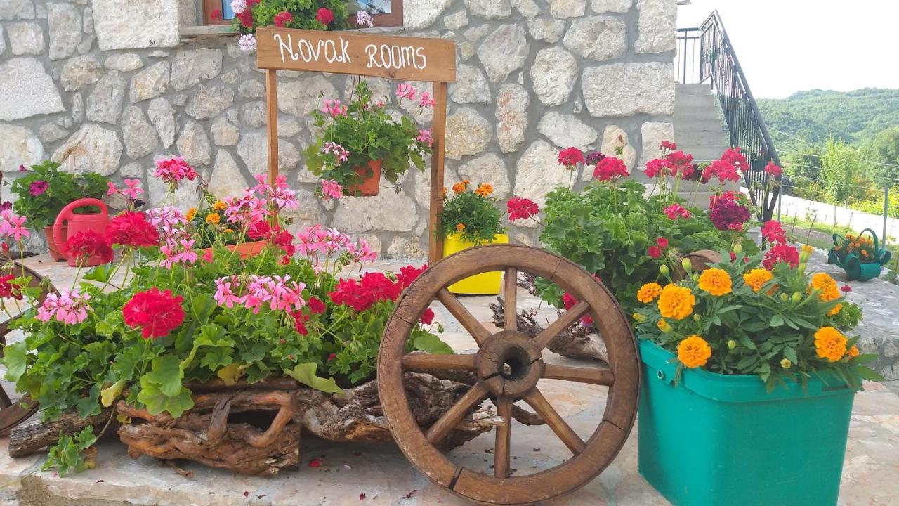 Village House - Novak Rijecani Rijeka Crnojevica Bagian luar foto