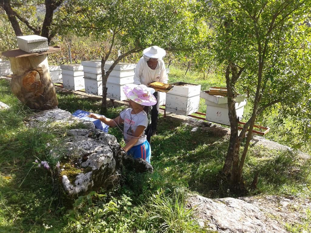 Village House - Novak Rijecani Rijeka Crnojevica Bagian luar foto